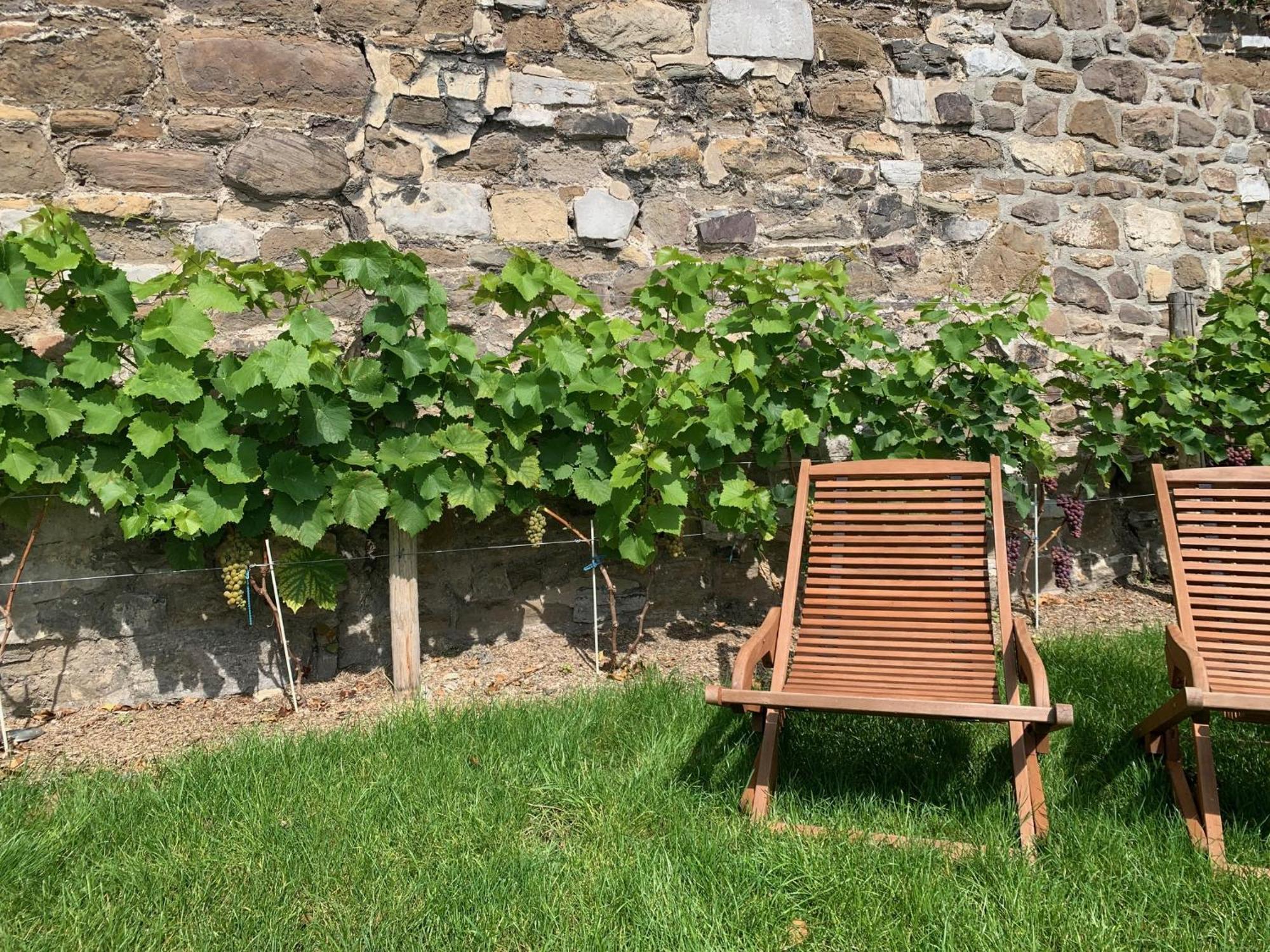 Bonjour Pierreuse 호텔 리에주 외부 사진