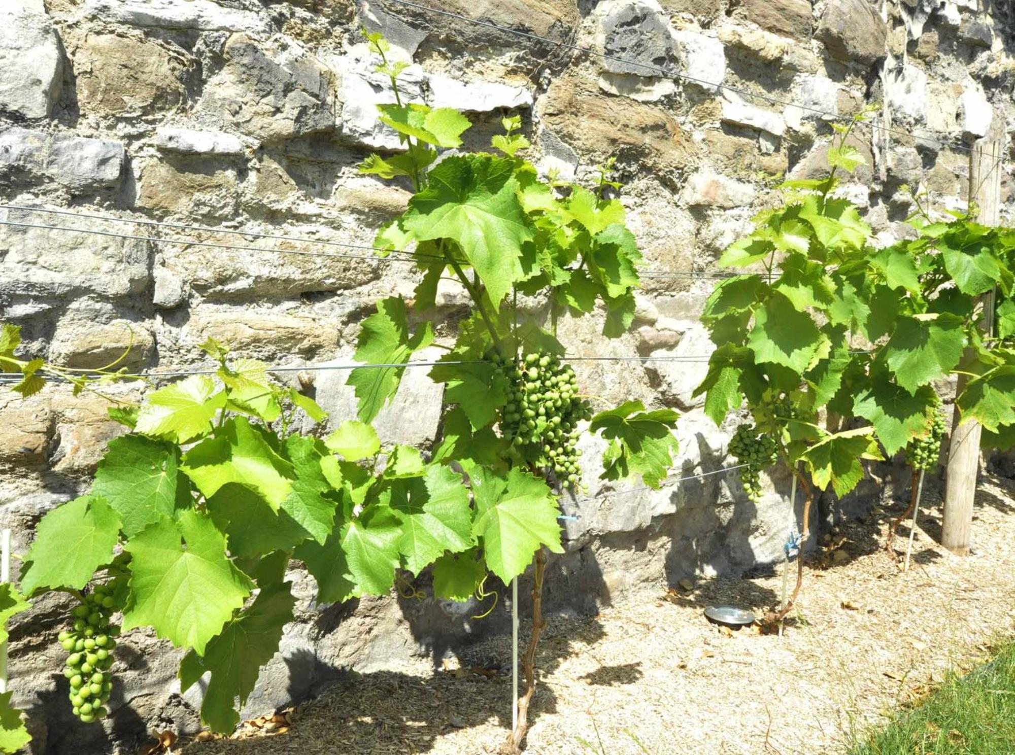 Bonjour Pierreuse 호텔 리에주 외부 사진